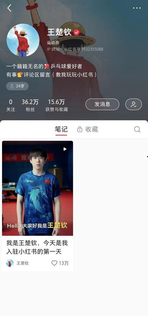 小红书爆料王楚钦视频,赛场风采引热议 第1张 小红书爆料王楚钦视频,赛场风采引热议 第1张