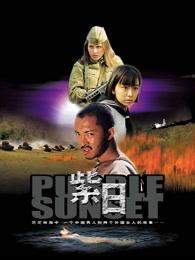 紫日高清在线观看,穿越时空的浪漫传奇 第1张 紫日高清在线观看,穿越时空的浪漫传奇 第1张